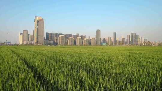 杭州亚运村城市建筑风景航拍