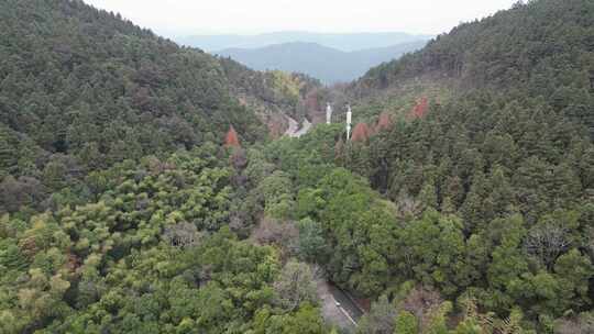 高山森林植物信号塔航拍