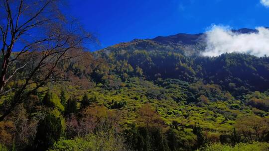 四姑娘山蓝天白云山峰美景