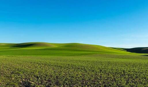 牧人之路 悠然 商队 藏族 扎念琴 手