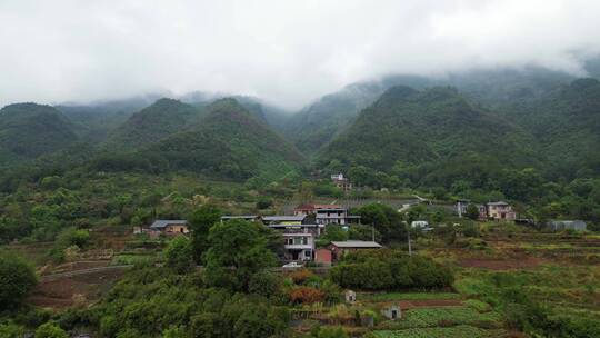 重庆山火后，北碚缙云山迎来降雨，云雾缭绕