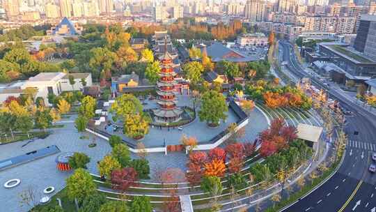 上海秋天 龙华寺秋天 上海地标秋色