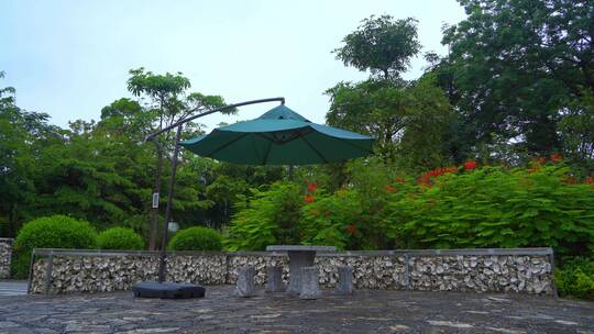 户外湿地公园大伞遮阳挡雨