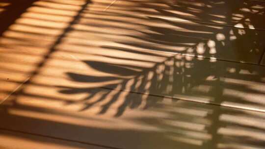 早晨阳光窗帘光影时光流逝