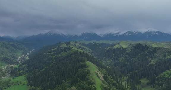 航拍新疆库尔德宁的河谷雪山草原和原始松林