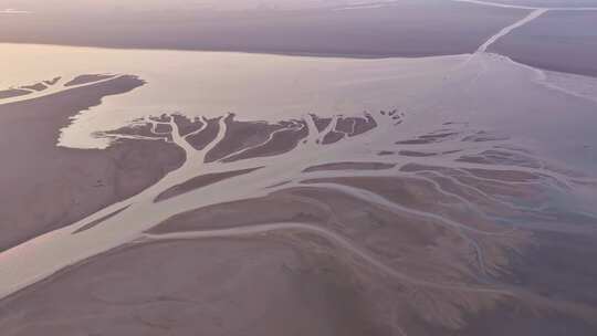 江西鄱阳湖生命之树景观空中俯瞰