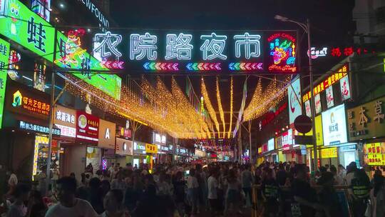 南宁小吃街农院路夜市步行街摊贩逛街