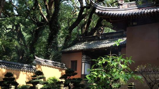 浙江普陀山法雨寺禅院建筑视频