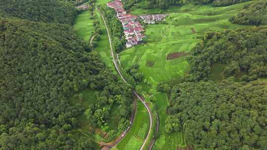 杭州西湖龙井茶园梅家坞清新茶山