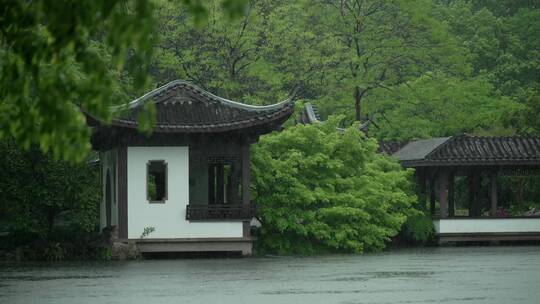 185 杭州 风景 古建筑 下雨天 树枝视频素材模板下载