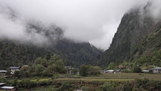 雨崩多雾天