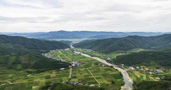 【延时】福建武夷山茶田茶园