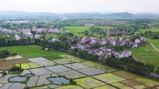 江西吉安永阳镇