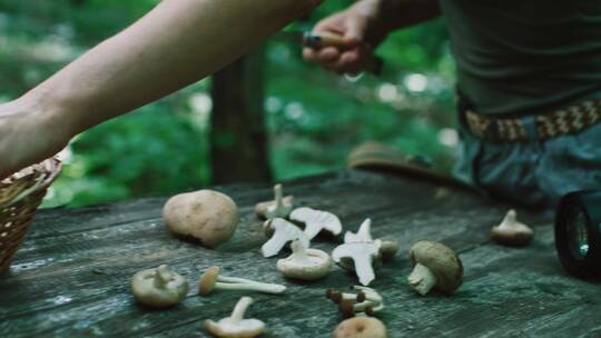 女人在户外切割蘑菇