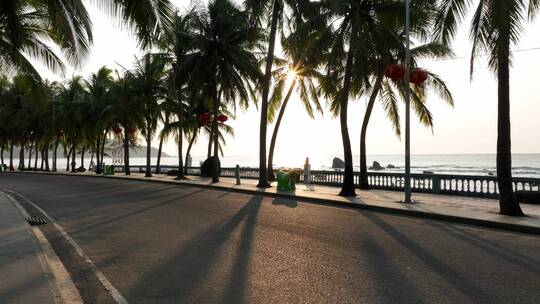 海边马路和椰树
