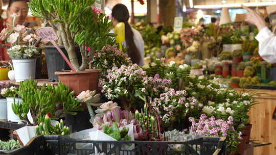 云南昆明斗南花卉交易市场\鲜花交易