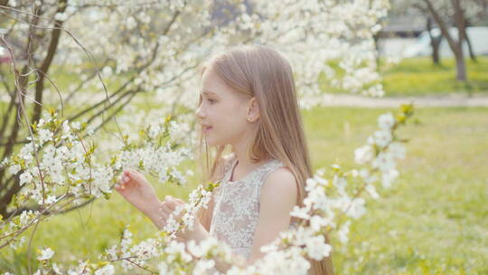 女孩欣赏梨花