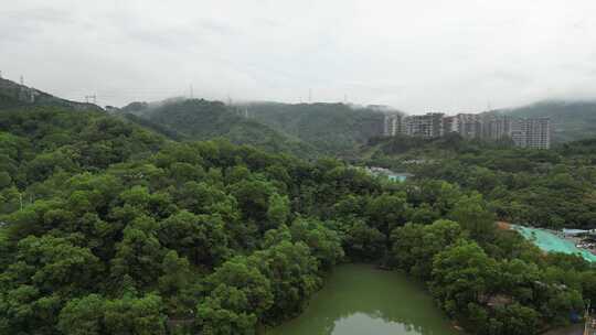 深圳平流雾云海