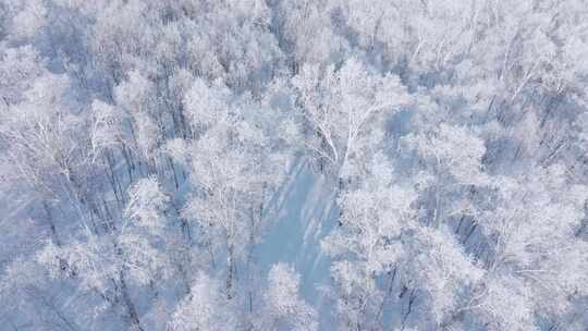 4K呼伦贝尔雪原雾凇车队行驶航拍13