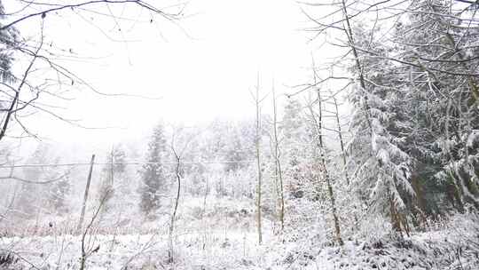 合集村庄冬天下雪雪花冬天下雪村庄雪景雪村