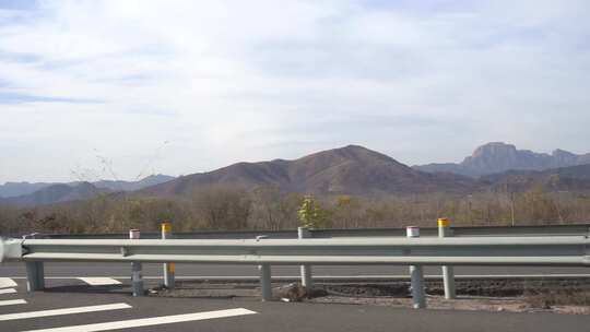 旅行 沿途 风景 公路 树