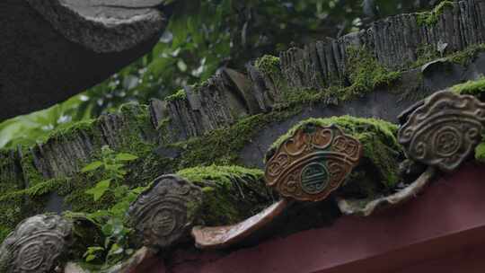 雨中青苔灰瓦古墙头01