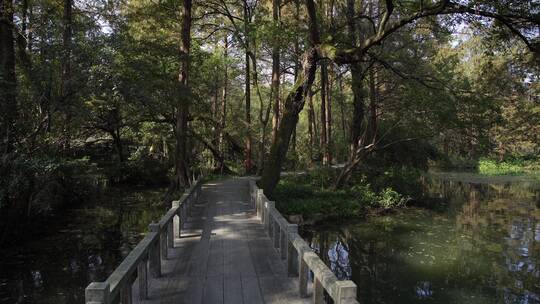 杭州西湖景区红栎山庄