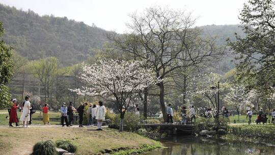 杭州太子湾公园景观