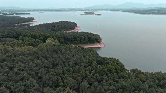 泌阳县铜山湖湿地公园