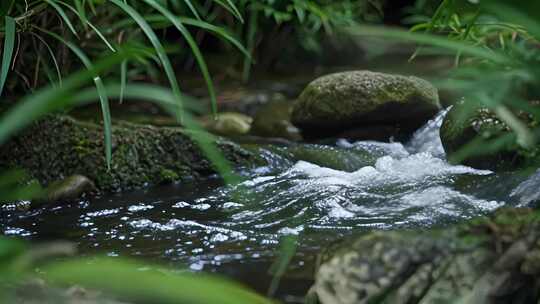 森林溪流苔藓岩石九寨沟夏季清新自然生态