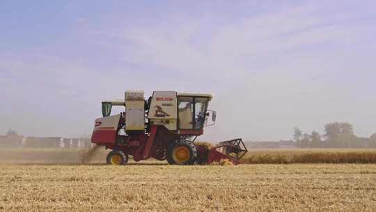收割机在麦田里收小麦