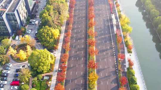 秋天的城市道路交通风景航拍