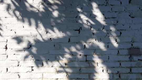 白色砖头墙上的影子