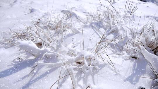 下雪 冬天 雪花