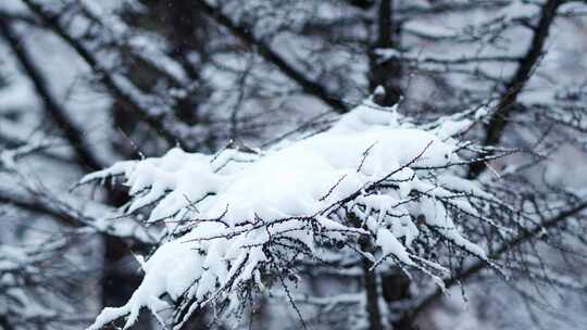 伏牛山冬季雪景雾凇