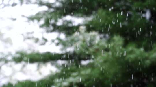 下雨雨天雨水