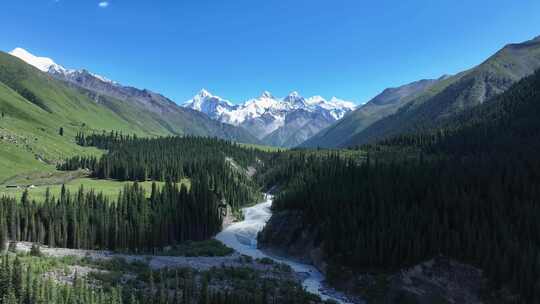 新疆昭苏夏塔雪山