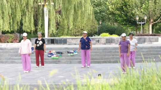 公园晨练退休生活广场舞太极拳视频素材模板下载