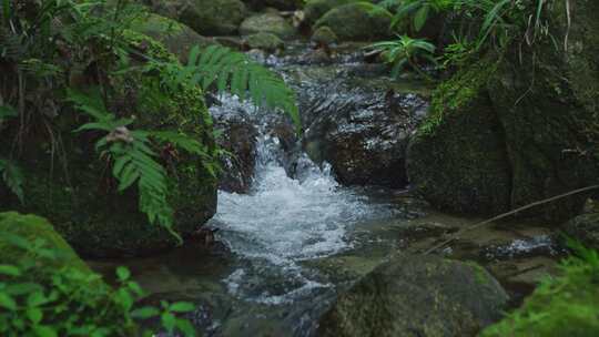 山涧清泉流水纯净山泉水