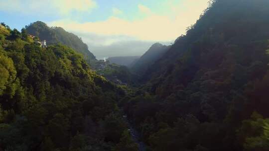 山间森林自然风光全景