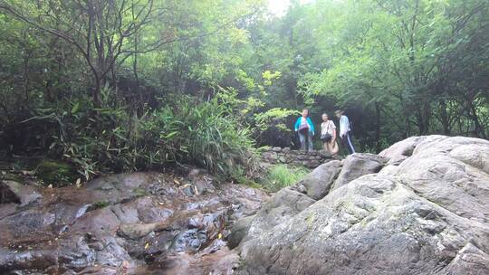 桐庐大奇山自然风景