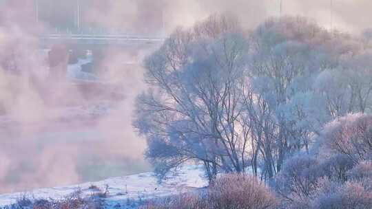 东北冬季雾凇树挂洁白唯美雪景航拍