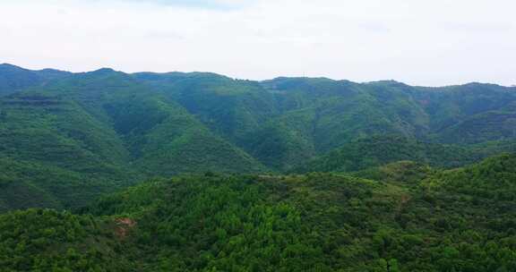 青山绿水