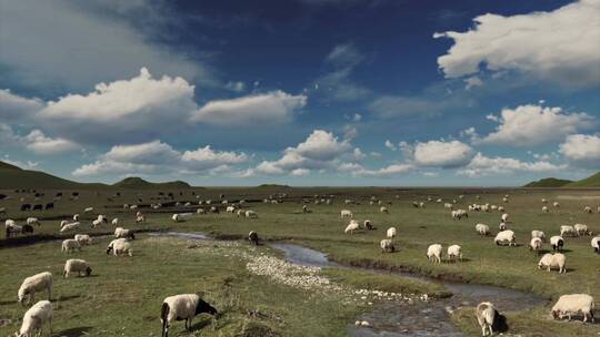 草原牛羊延时摄影