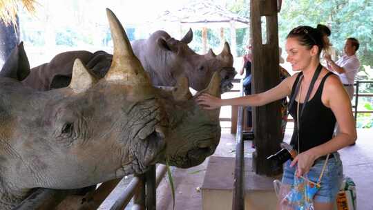泰国考乔开放动物园，女孩用手喂犀牛