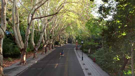 杭州西湖街景