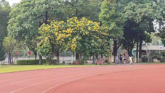 大学校园