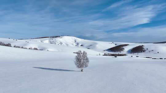 唯美雪原美景 水墨丹青画卷