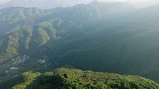 航拍青山森林自然风景