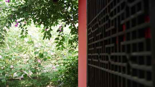 古风汉服美女古装中国风时尚女子舞蹈